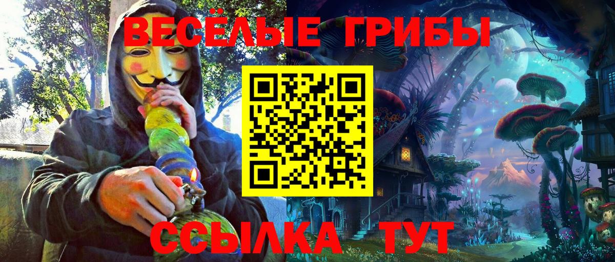 Галлюциногенные грибы Psilocybe Александров
