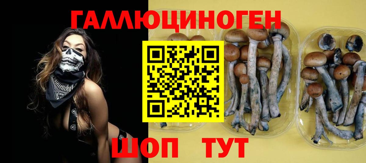 Псилоцибиновые грибы Psilocybe  Вход с VPN  Александров 