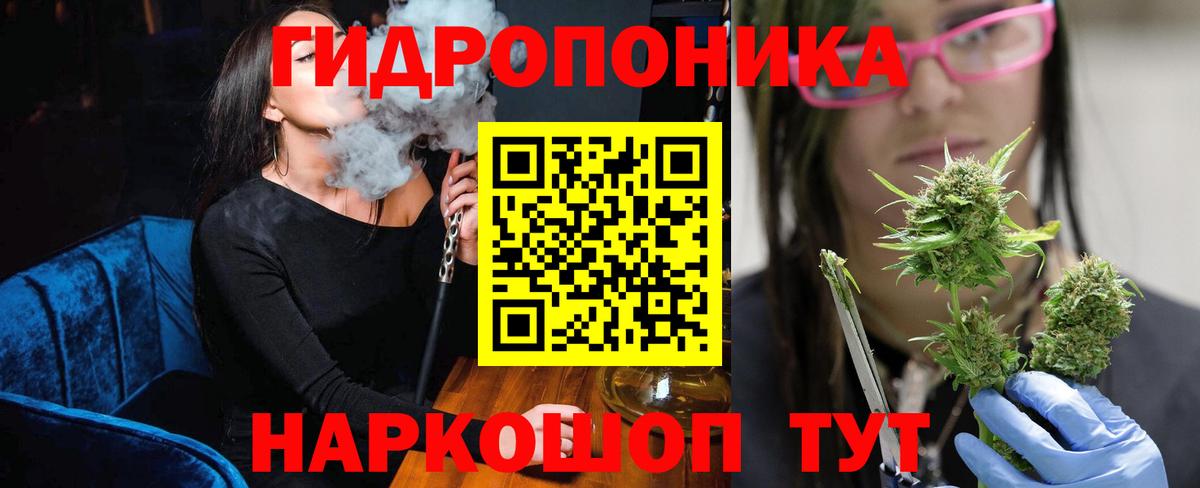 Александров  Каннабис марихуана  Вход с VPN  Бошки марихуана Bruce Banner  Канабис OG Kush  Конопля MAZAR 